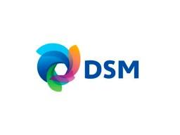  DSM 